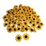 Girassol 100 Cabecas C