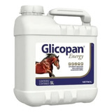 Glicopan Energy 5l