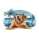 Golden retriever With Sunglasses