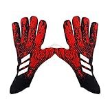 Goleiro Futebol