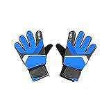Goleiro Futebol Goleiro
