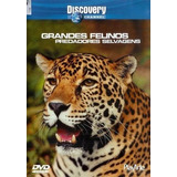 Grandes Felinos Predadpres Selvagens Dvd Original Lacrado