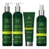 Grandha Vector Force Cachos Sh Cond Spray Modelador Leave-in