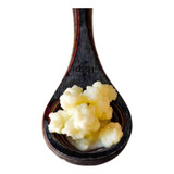 Graos De Kefir De