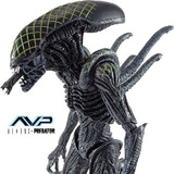 Grid Alien Vs Predador