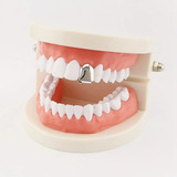 Grillz Unitario Hip Hop