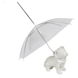 Guarda Chuva Para Caes