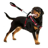 Guia Para Cães Coleira Peitoral Com Alça Reforçado Pit Bull Cor Preto Com Vermelho Tamanho Da Coleira G