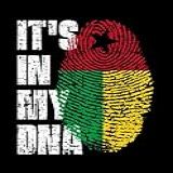 Guinea Bissau Flag Its