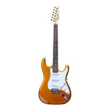Guitarra Elétrica Condor Rx-10 Stratocaster De Tília Gold Com Diapasão De Pau-rosa