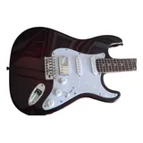Guitarra Shelter California Usa