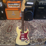 Guitarra Stratocaster Classica Cores