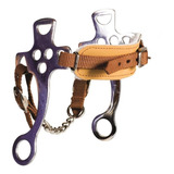 Cavalo