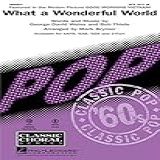 Hal Leonard CD What A Wonderful World ShowTrax De Louis Armstrong Organizado Por Mark Brymer