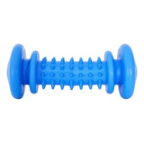 Halteres Maciço De Borracha Furacão Pet Com Cravo Azul Único