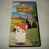 Hamtaro Pequenos Hamsters Grandes Aventuras Dvd Original Lacrado