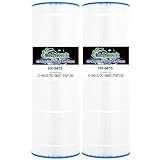 HANXER Filtro De Piscina PLF150A Substitui C 9415 Filbur FC 0687 CC150 CCRP150 PAP150 R173216 160317 160355 160352 XLS 908 Darlly 10150 150 M Cartucho De Filtro De Piscina Ft Dge Pacote