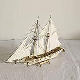 HAPYLY Escala 1 100 Faça Você Mesmo Hobby Navio De Madeira Equipmen Montagem Kit De Barco à Vela Kit Decoração Brinquedo Presente