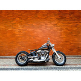 Harley Davidson Fat Boy 2011 Customizada