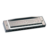 Harmônica Hohner Silver Star 504/20 A Em Lá Garantia 2 Anos.