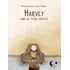 Harvey: Como Me Tornei Invisível, De Bouchard, Hervé. Editorial Editora Pulo Do Gato Ltda,groundwood Books, Tapa Mole En Português, 2013