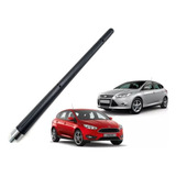 Haste Teto New Focus