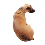 Heave Brinquedo De Pelúcia De Cachorro De Simulação 3D De 50 Cm  Almofada De Brinquedo De Pelúcia Macia Colecionável  6 Estilos PP Algodão Bicho De Pelúcia Cachorro Almofada Deitada Decoração De Casa Presente A