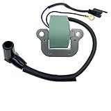 HEPENG 18 5196 581407 Conjunto De Bobina De Ignição Para Motores De Popa Omc Johnson Evinrude Substitui Bobina 502880