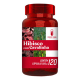 Hibisco Com Cavalinha Premium