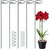 pacote estacas suporte plantas suporte haste jardim suporte estaca suporte plantas plantas haste flores