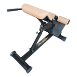 Hiper Extensor Academia Profissional
