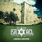 História De Israel Volume 2 Professor Da Monarquia Ao Reino Dividido Antigo Testamento Livro 9 