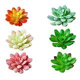 Holibanna 6 Unidades Rolamentos De Roda De Bicicleta Suculentas Sem Vaso Decoração Casa Decoracao Para Casa Suculentas Falsas Enfeite De Planta Pequena Artificial Decorações