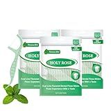 Holy Rose Palitos De Fio Dental Mint Twin Line Pacote Com 300 Unidades Kit De Ferramentas De Limpeza De Dentes De Ação Dupla Para Adultos Palitos De Fio Dental Para Remoção Oral Cuidados Com A