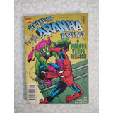 Homem aranha Anual N 5 Ed Abril Hq
