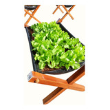 Plantas