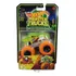 Hot Wheels Monster Trucks Brilha No Escuro Bone Shaker Hcb55