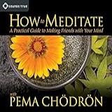 How To Meditate With Pema Chodron  A Practical Guide To Making Friends With Your Mind Unabridged Edition By Ch Dr N  Pema Published By Sounds True  2007   Audio CD  Chödrön  Pema