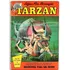 Hq Tarzan N° 19 - Coleçao Lança De Prata - Ebal 1986