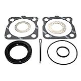 Iap Performance 111598051a Kit