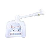 Ibramed Dermosteam 3 0   Aparelho Vapor De Ozônio   LED Azul 450nm   Estética E Dermatologia Facial  Corporal E Capilar   220V