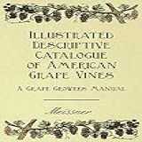 Illustrated Descriptive Catalogue Of American Grape
