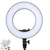 Iluminador Led Circular Godox LR180 14 Ring Light 27w DayLight Com Fonte E Suporte De Celular