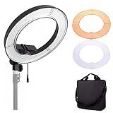Iluminador Ring Light 18 Circular 240 Leds 50W Tripé 2 Filtros Difusores GT719 Lorben