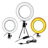 Iluminador Ring Light LED Tripe Mesa Portatil Controle Usb Luz Quente Fria