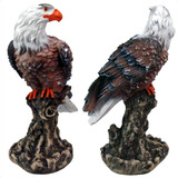 Passaros