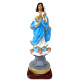 Imagem Nossa Senhora Da Conceição 20 Cm Gesso