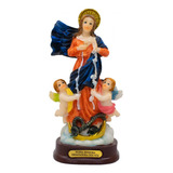 Imagem Religiosa De Nossa Senhora Desatadora Dos Nós 12 Cm Cor Colorido