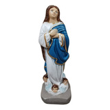Imagem Sacra Religiosa Católica Nossa Senhora Da Conceição