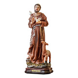 Imagem São Francisco Resina 30cm Cor Colorido